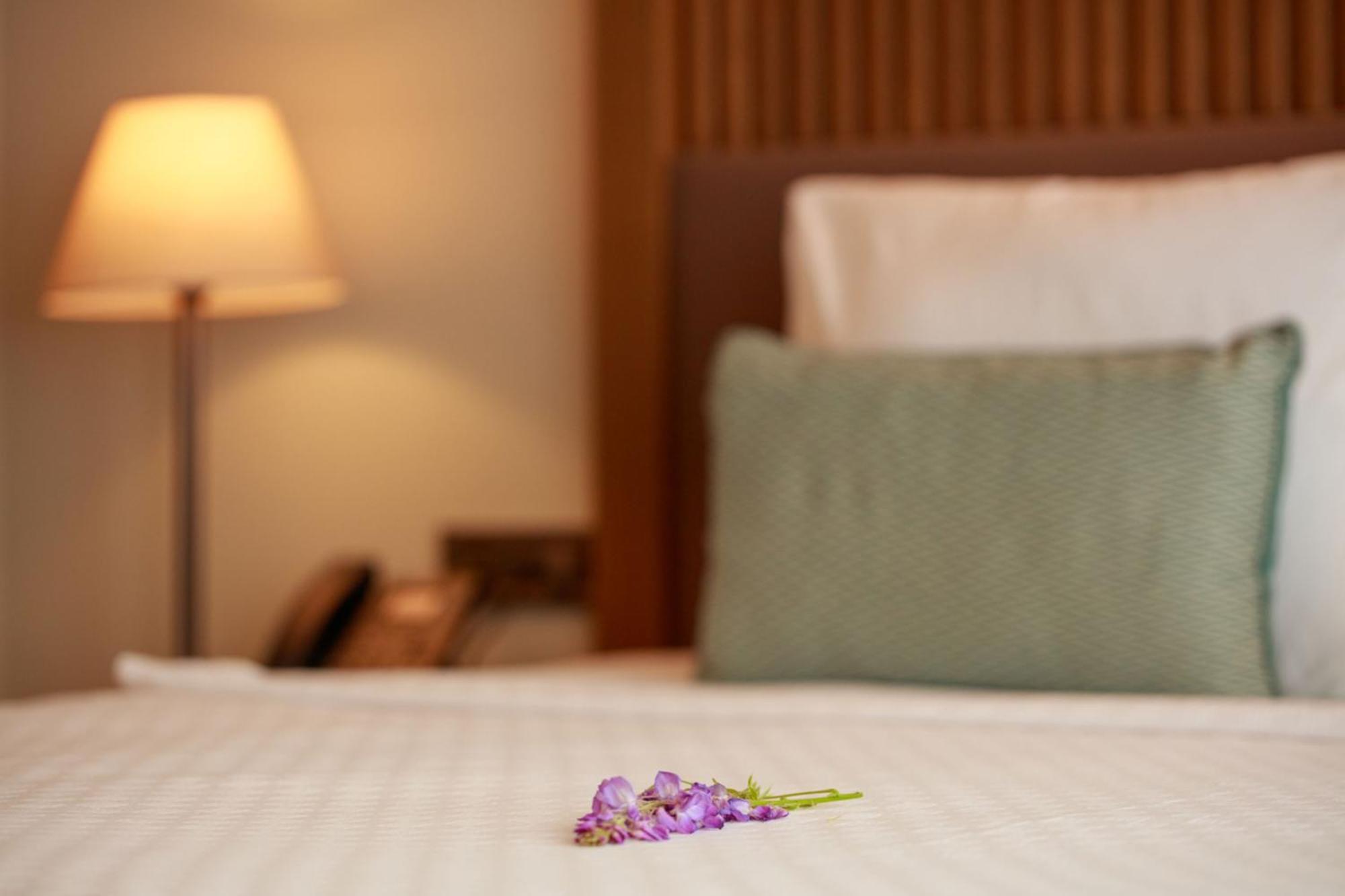 Hotel Casa Lumar Luxury Lodging- Adult Only *
